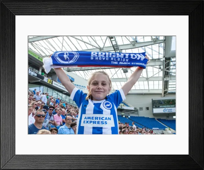 Framed Print : Brighton and Hove Albion Fans in Full Support at Pre-Season Friendly Against Sevilla, 2015 Framed Print : Brighton and Hove Albion Fans in Full Support at Pre-Season Friendly Against Sevilla, 2015