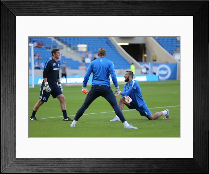 Framed Print : Brighton and Hove Albion vs. Nottingham Forest: Sky Bet Championship Showdown at American Express Community Stadium (July 2015) Framed Print : Brighton and Hove Albion vs. Nottingham Forest: Sky Bet Championship Showdown at American Express Community Stadium (July 2015)