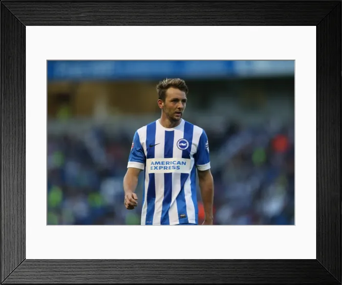 Framed Print : Brighton and Hove Albion vs. Nottingham Forest: Sky Bet Championship Showdown at American Express Community Stadium (July 2015) Framed Print : Brighton and Hove Albion vs. Nottingham Forest: Sky Bet Championship Showdown at American Express Community Stadium (July 2015)