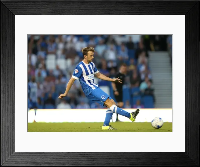 Framed Print : Brighton and Hove Albion vs. Nottingham Forest: Sky Bet Championship Showdown at American Express Community Stadium (July 2015) Framed Print : Brighton and Hove Albion vs. Nottingham Forest: Sky Bet Championship Showdown at American Express Community Stadium (July 2015)