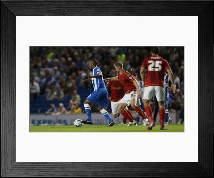 Framed Print : Brighton and Hove Albion vs. Nottingham Forest: Sky Bet Championship Showdown at American Express Community Stadium (July 2015) Framed Print : Brighton and Hove Albion vs. Nottingham Forest: Sky Bet Championship Showdown at American Express Community Stadium (July 2015)