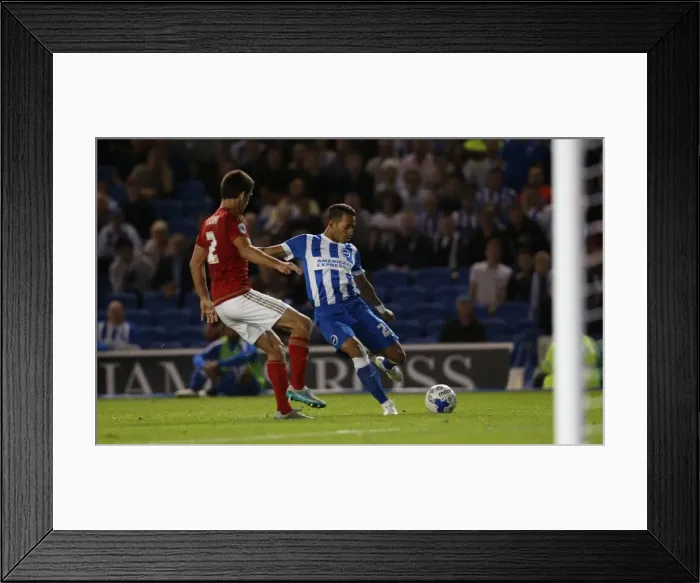 Framed Print : Sky Bet Championship Showdown: Brighton & Hove Albion vs. Nottingham Forest (July 2015)