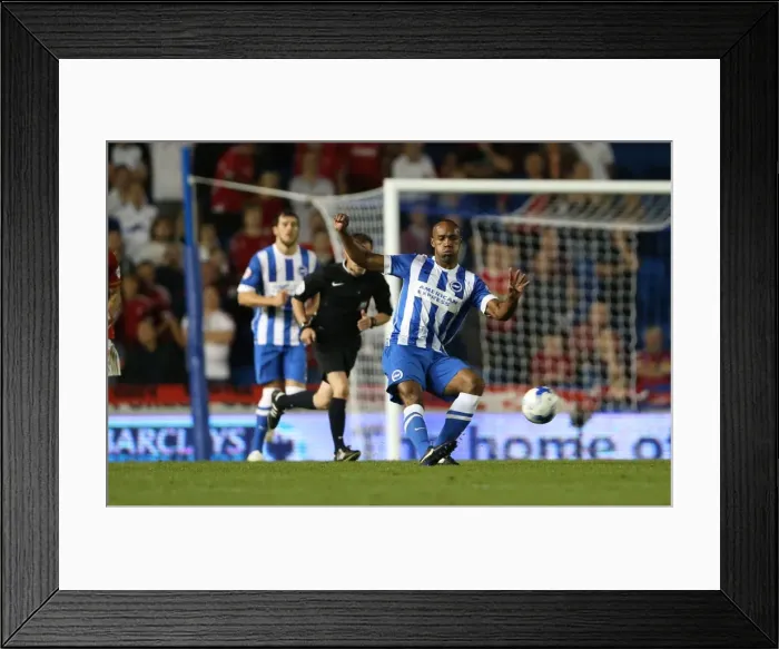 Framed Print : Brighton and Hove Albion vs. Nottingham Forest: Sky Bet Championship Showdown at American Express Community Stadium (July 2015) Framed Print : Brighton and Hove Albion vs. Nottingham Forest: Sky Bet Championship Showdown at American Express Community Stadium (July 2015)