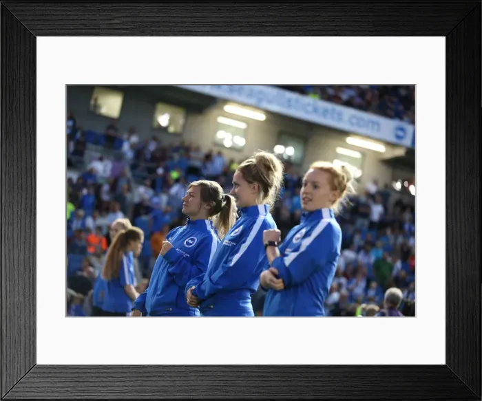 Framed Print : Brighton and Hove Albion vs. Nottingham Forest: Sky Bet Championship Showdown at American Express Community Stadium (July 2015) Framed Print : Brighton and Hove Albion vs. Nottingham Forest: Sky Bet Championship Showdown at American Express Community Stadium (July 2015)