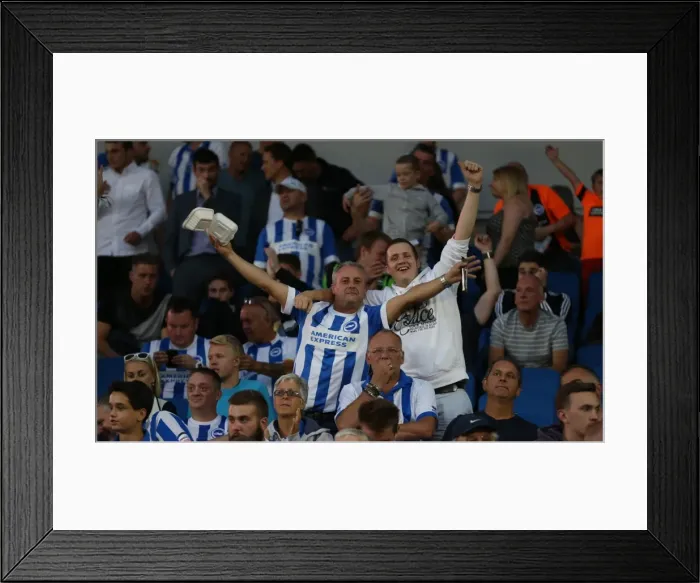 Framed Print : Brighton and Hove Albion vs. Nottingham Forest: Sky Bet Championship Showdown at American Express Community Stadium (July 2015) Framed Print : Brighton and Hove Albion vs. Nottingham Forest: Sky Bet Championship Showdown at American Express Community Stadium (July 2015)