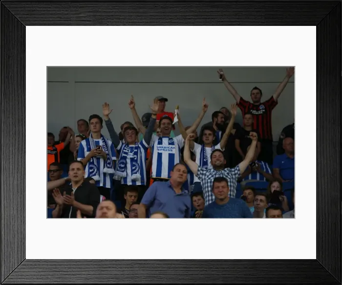 Framed Print : Brighton and Hove Albion vs. Nottingham Forest: Sky Bet Championship Showdown at American Express Community Stadium (July 2015) Framed Print : Brighton and Hove Albion vs. Nottingham Forest: Sky Bet Championship Showdown at American Express Community Stadium (July 2015)