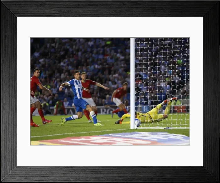 Framed Print : Brighton and Hove Albion vs. Nottingham Forest: Sky Bet Championship Showdown at American Express Community Stadium (July 2015) Framed Print : Brighton and Hove Albion vs. Nottingham Forest: Sky Bet Championship Showdown at American Express Community Stadium (July 2015)