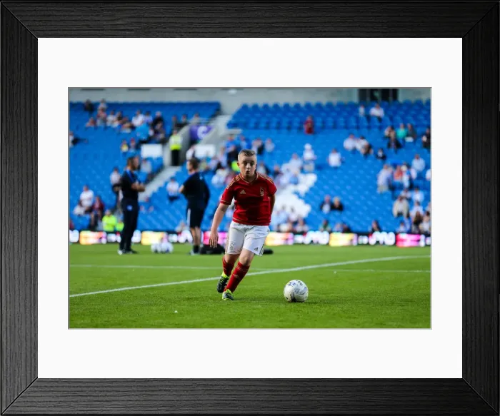 Framed Print : Nottm Forest-6752