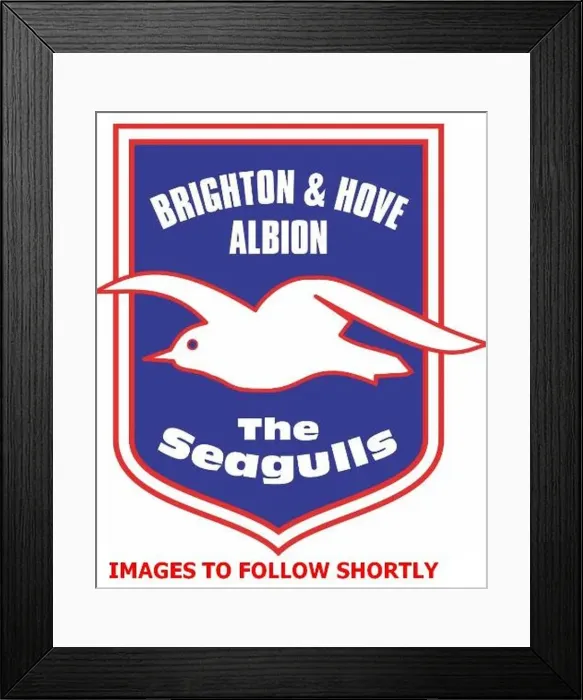 : Seagullspics : Seagullspics