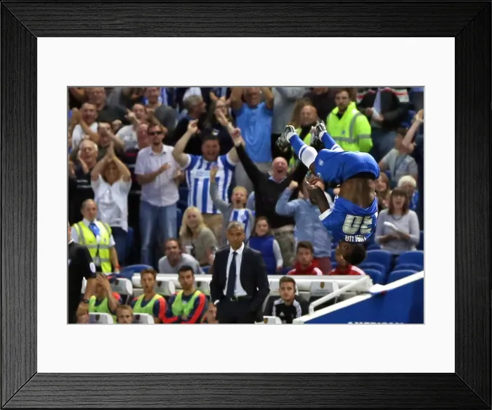 Framed Print : Brighton and Hove Albion vs. Nottingham Forest: Sky Bet Championship Showdown at American Express Community Stadium (July 2015)