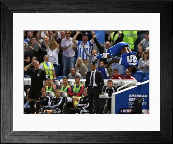 Framed Print : Brighton and Hove Albion vs. Nottingham Forest: Sky Bet Championship Showdown at American Express Community Stadium (July 2015)
