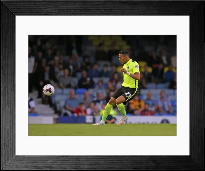 Framed Print : Brighton and Hove Albion's Triumph over Southend United in the 2015 Capital One Cup Framed Print : Brighton and Hove Albion's Triumph over Southend United in the 2015 Capital One Cup