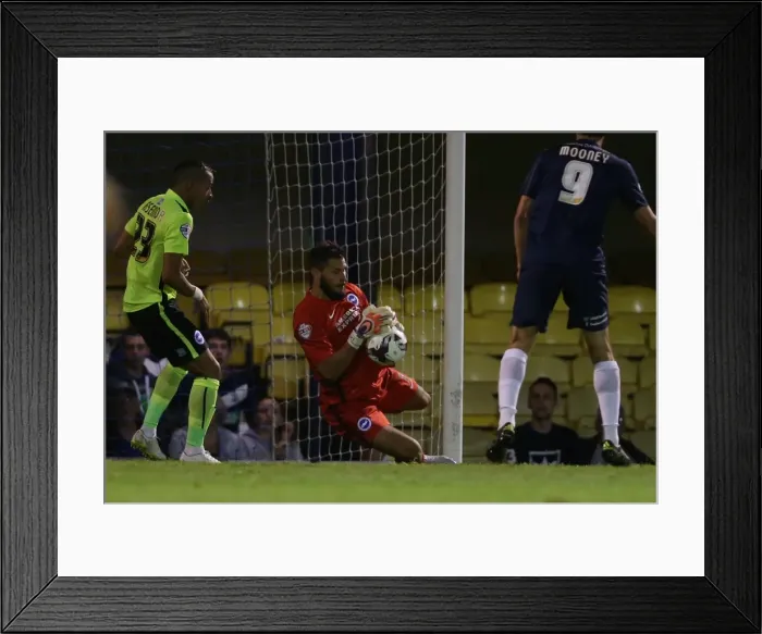 Framed Print : Brighton and Hove Albion Take on Southend United in the Capital One Cup, August 11, 2015 (11AUG15) Framed Print : Brighton and Hove Albion Take on Southend United in the Capital One Cup, August 11, 2015 (11AUG15)