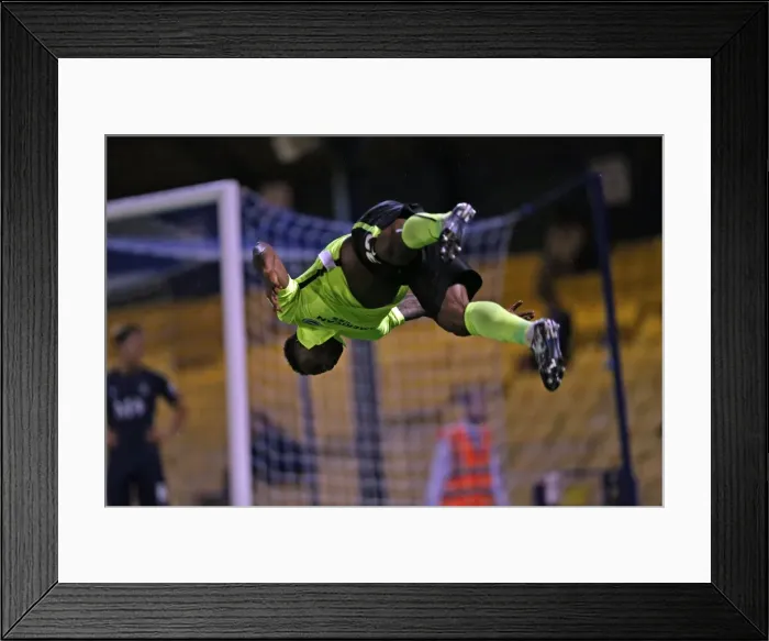 Framed Print : Brighton and Hove Albion's Victory Over Southend United in the 2015 Capital One Cup Framed Print : Brighton and Hove Albion's Victory Over Southend United in the 2015 Capital One Cup