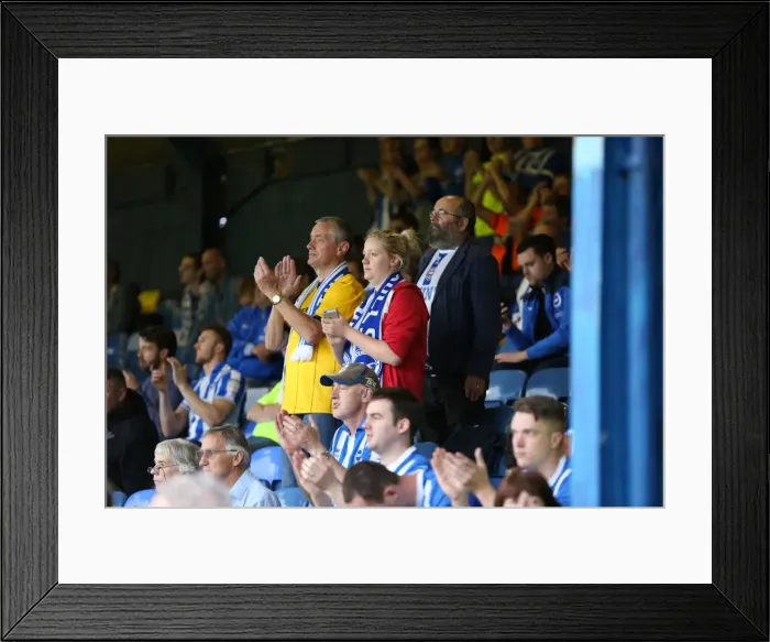 Framed Print : Brighton and Hove Albion's Triumph over Southend United in the 2015 Capital One Cup