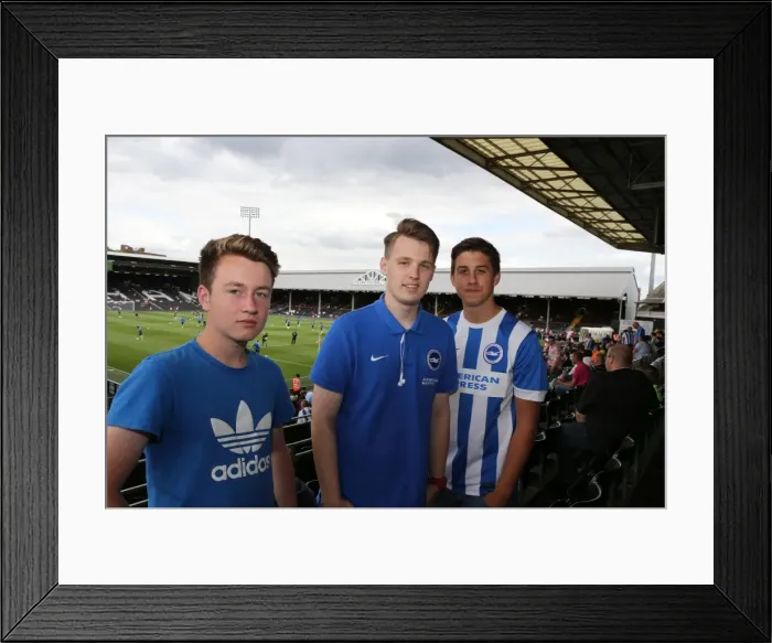 Framed Print : Jubilant Albion Fans Celebrate Championship Victory at Craven Cottage, 2015 Framed Print : Jubilant Albion Fans Celebrate Championship Victory at Craven Cottage, 2015