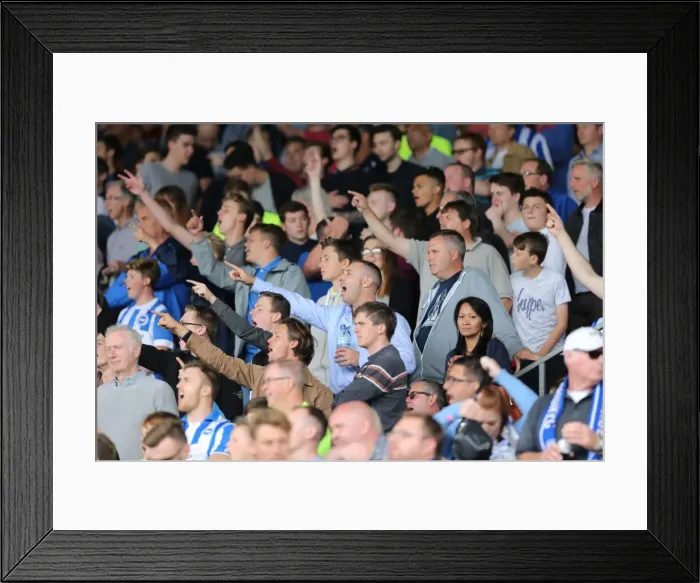 Framed Print : Brighton and Hove Albion: Euphoric Fans Celebrate Championship Victory at Craven Cottage (15 Aug 2015) Framed Print : Brighton and Hove Albion: Euphoric Fans Celebrate Championship Victory at Craven Cottage (15 Aug 2015)