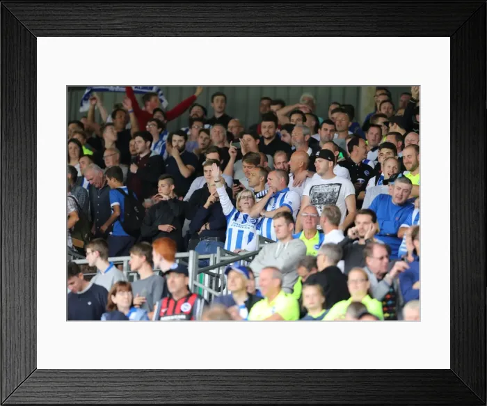 Framed Print : Brighton and Hove Albion: Euphoric Fans Celebrate Championship Victory at Craven Cottage (15th August 2015) Framed Print : Brighton and Hove Albion: Euphoric Fans Celebrate Championship Victory at Craven Cottage (15th August 2015)