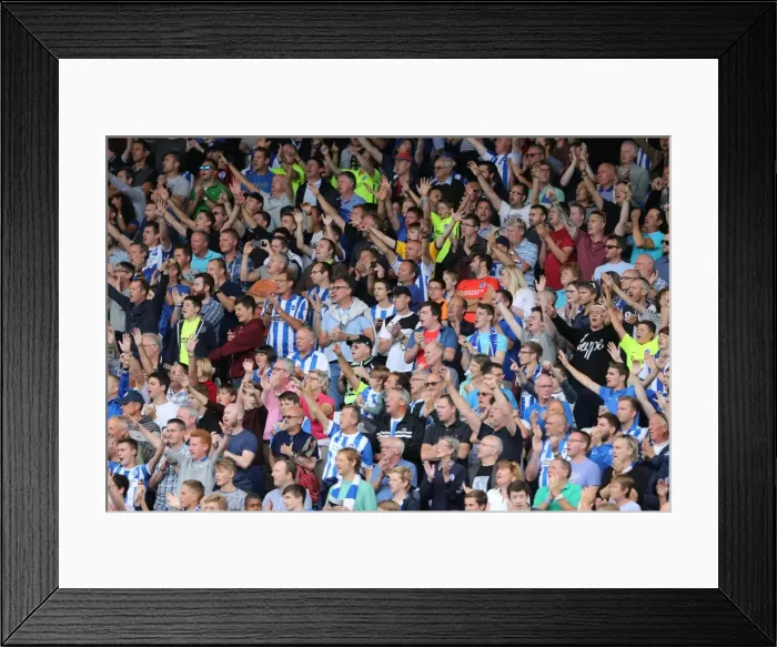 Framed Print : Brighton and Hove Albion: Euphoric Fans Celebrate Championship Victory at Craven Cottage (15 Aug 2015) Framed Print : Brighton and Hove Albion: Euphoric Fans Celebrate Championship Victory at Craven Cottage (15 Aug 2015)