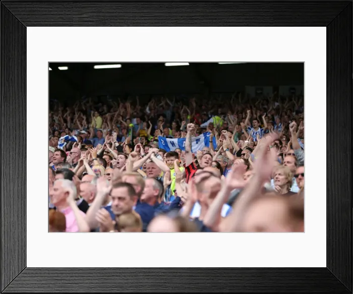Framed Print : Brighton and Hove Albion's Euphoric Fans Celebrate Championship Victory at Craven Cottage (Fulham, 15th August 2015) Framed Print : Brighton and Hove Albion's Euphoric Fans Celebrate Championship Victory at Craven Cottage (Fulham, 15th August 2015)