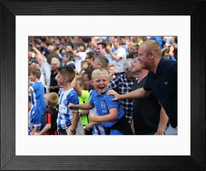 Framed Print : Jubilant Brighton Fans Celebrate Championship Victory at Craven Cottage (Fulham vs. Brighton and Hove Albion, 15th August 2015) Framed Print : Jubilant Brighton Fans Celebrate Championship Victory at Craven Cottage (Fulham vs. Brighton and Hove Albion, 15th August 2015)