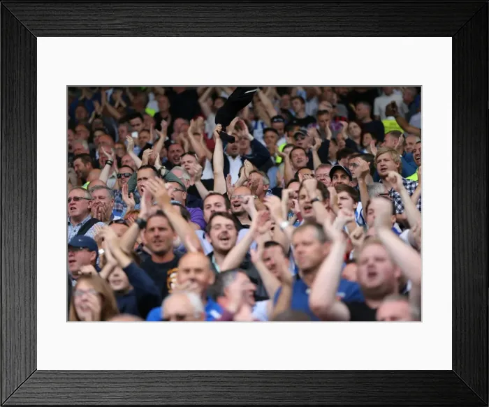 Framed Print : Jubilant Albion Fans Celebrate Championship Victory at Craven Cottage, 2015 Framed Print : Jubilant Albion Fans Celebrate Championship Victory at Craven Cottage, 2015