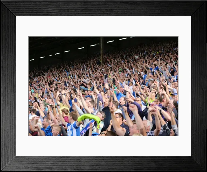 Framed Print : Brighton and Hove Albion's Euphoric Fans Celebrate at Craven Cottage during Sky Bet Championship Match vs Fulham (15-08-2015) Framed Print : Brighton and Hove Albion's Euphoric Fans Celebrate at Craven Cottage during Sky Bet Championship Match vs Fulham (15-08-2015)