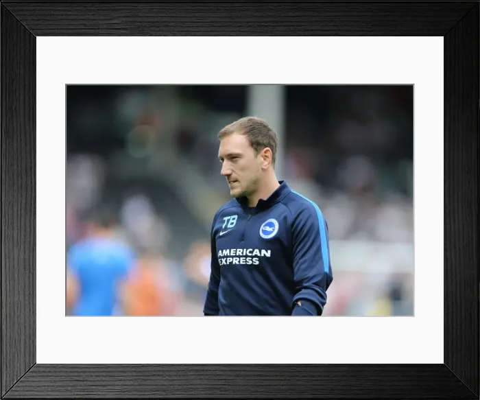 Framed Print : Brighton and Hove Albion vs Fulham: Sky Bet Championship Clash at Craven Cottage (15.08.2015) Framed Print : Brighton and Hove Albion vs Fulham: Sky Bet Championship Clash at Craven Cottage (15.08.2015)