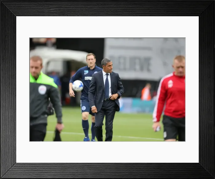 Framed Print : Chris Hughton Directs Brighton and Hove Albion in Fulham Showdown, Sky Bet Championship 2015 Framed Print : Chris Hughton Directs Brighton and Hove Albion in Fulham Showdown, Sky Bet Championship 2015