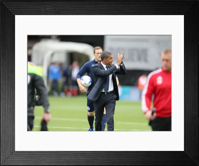 Framed Print : Chris Hughton Leads Brighton and Hove Albion at Fulham's Craven Cottage, Sky Bet Championship 2015