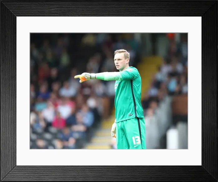 Framed Print : Brighton's David Stockdale in Action: Fulham vs. Brighton and Hove Albion, Sky Bet Championship 2015 Framed Print : Brighton's David Stockdale in Action: Fulham vs. Brighton and Hove Albion, Sky Bet Championship 2015