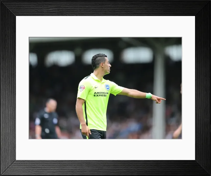 Framed Print : Beram Kayal in Action: Fulham vs. Brighton & Hove Albion, Sky Bet Championship (15.08.2015) Framed Print : Beram Kayal in Action: Fulham vs. Brighton & Hove Albion, Sky Bet Championship (15.08.2015)