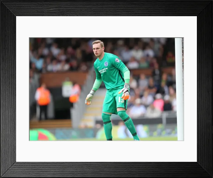 Framed Print : Brighton's David Stockdale Focused During Fulham Clash in Sky Bet Championship (15-08-2015) Framed Print : Brighton's David Stockdale Focused During Fulham Clash in Sky Bet Championship (15-08-2015)
