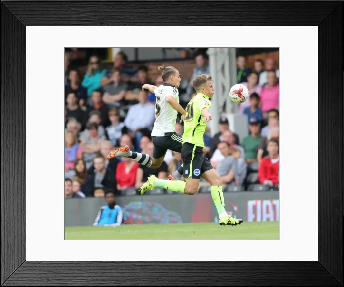 Framed Print : Solomon March in Action: Brighton and Hove Albion vs. Fulham, Sky Bet Championship 2015 Framed Print : Solomon March in Action: Brighton and Hove Albion vs. Fulham, Sky Bet Championship 2015