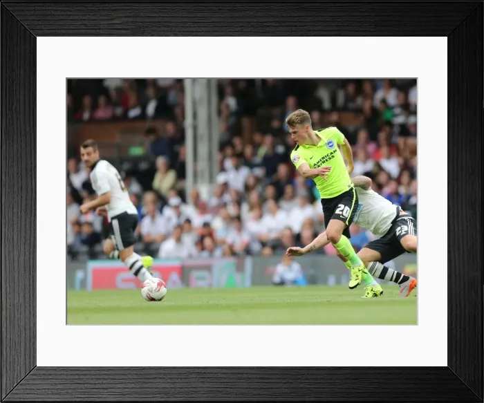 Framed Print : Brighton's Solomon March in Action against Fulham during Sky Bet Championship Clash, August 2015 Framed Print : Brighton's Solomon March in Action against Fulham during Sky Bet Championship Clash, August 2015