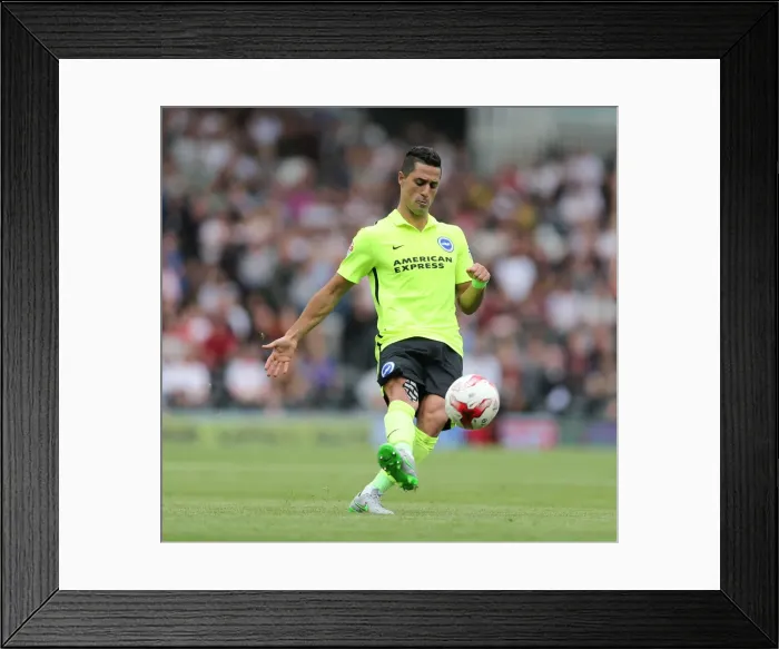 Framed Print : Brighton's Beram Kayal Takes Free Kick Against Fulham in Sky Bet Championship Clash (15 AUG 2015) Framed Print : Brighton's Beram Kayal Takes Free Kick Against Fulham in Sky Bet Championship Clash (15 AUG 2015)