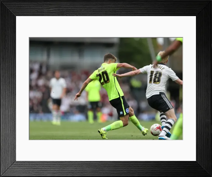 Framed Print : Solomon March: In Action for Brighton and Hove Albion against Fulham, Sky Bet Championship 2015 (15AUG15) Framed Print : Solomon March: In Action for Brighton and Hove Albion against Fulham, Sky Bet Championship 2015 (15AUG15)