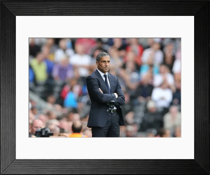 Framed Print : Chris Hughton Leads Brighton and Hove Albion at Craven Cottage, Sky Bet Championship 2015 Framed Print : Chris Hughton Leads Brighton and Hove Albion at Craven Cottage, Sky Bet Championship 2015