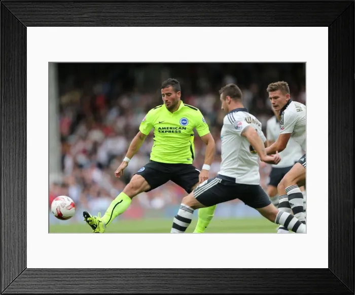 Framed Print : Tomer Hemed in Action: Fulham vs. Brighton and Hove Albion, Sky Bet Championship (15 / 08 / 2015) Framed Print : Tomer Hemed in Action: Fulham vs. Brighton and Hove Albion, Sky Bet Championship (15 / 08 / 2015)