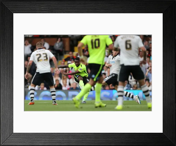 Framed Print : LuaLua Shoots: Fulham vs. Brighton & Hove Albion, Sky Bet Championship (15 / 08 / 2015) Framed Print : LuaLua Shoots: Fulham vs. Brighton & Hove Albion, Sky Bet Championship (15 / 08 / 2015)