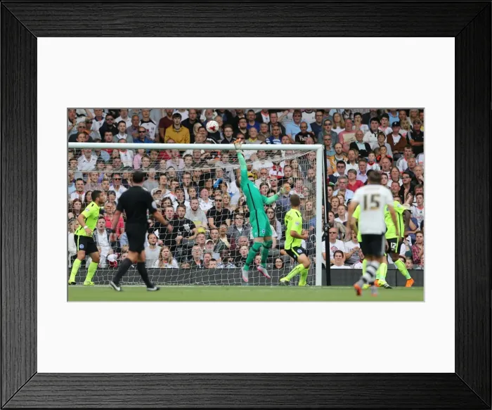 Framed Print : Brighton Goalkeeper David Stockdale Saves Fulham Shot in Sky Bet Championship Clash (15 / 08 / 2015)