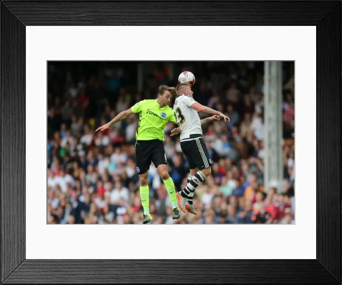 Framed Print : Dale Stephens Goes Head to Head: Fulham vs. Brighton & Hove Albion, Sky Bet Championship 2015 Framed Print : Dale Stephens Goes Head to Head: Fulham vs. Brighton & Hove Albion, Sky Bet Championship 2015