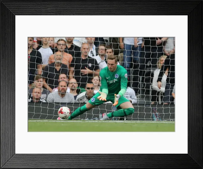 Framed Print : Brighton & Hove Albion's David Stockdale Guards the Net in Fulham Showdown, Sky Bet Championship 2015 Framed Print : Brighton & Hove Albion's David Stockdale Guards the Net in Fulham Showdown, Sky Bet Championship 2015