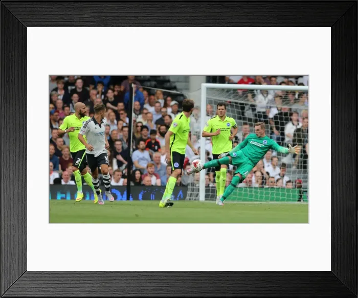 Framed Print : Brighton's Stockdale Kicks Clear in Fulham Clash, Sky Bet Championship 2015 Framed Print : Brighton's Stockdale Kicks Clear in Fulham Clash, Sky Bet Championship 2015