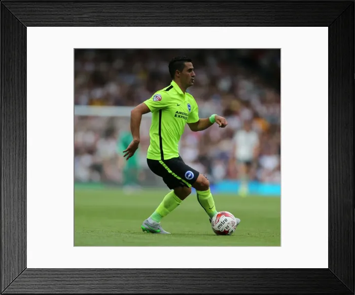 Framed Print : Brighton's Beram Kayal in Action against Fulham in Sky Bet Championship Clash (15 / 08 / 2015) Framed Print : Brighton's Beram Kayal in Action against Fulham in Sky Bet Championship Clash (15 / 08 / 2015)
