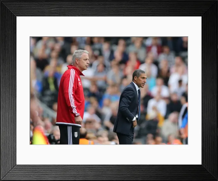 Framed Print : Chris Hughton Leads Brighton and Hove Albion in Fulham Championship Clash, August 2015 Framed Print : Chris Hughton Leads Brighton and Hove Albion in Fulham Championship Clash, August 2015