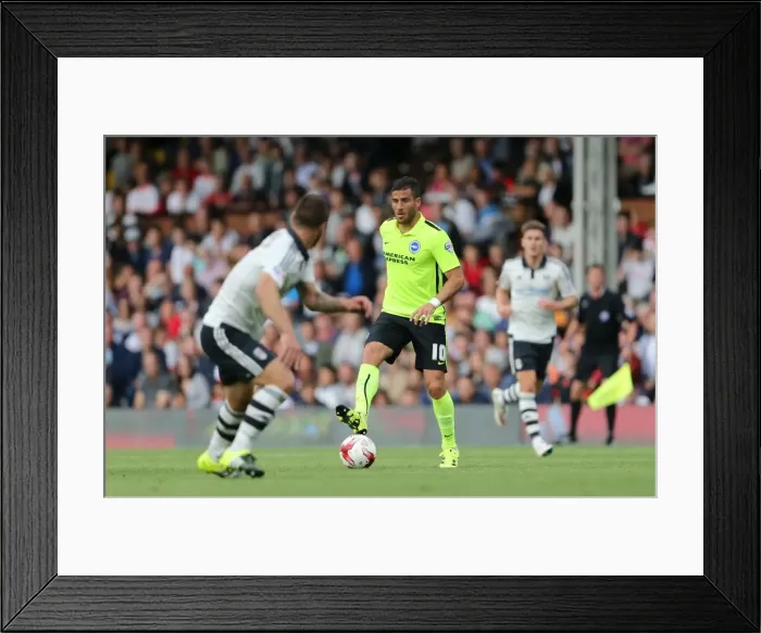 Framed Print : Tomer Hemed in Action: Sky Bet Championship Clash between Fulham and Brighton & Hove Albion (15 / 08 / 2015) Framed Print : Tomer Hemed in Action: Sky Bet Championship Clash between Fulham and Brighton & Hove Albion (15 / 08 / 2015)