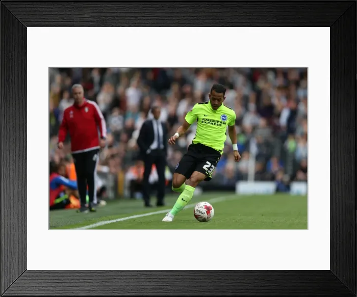 Framed Print : Brighton's Liam Rosenior in Action Against Fulham in Sky Bet Championship Clash (15 / 08 / 2015) Framed Print : Brighton's Liam Rosenior in Action Against Fulham in Sky Bet Championship Clash (15 / 08 / 2015)