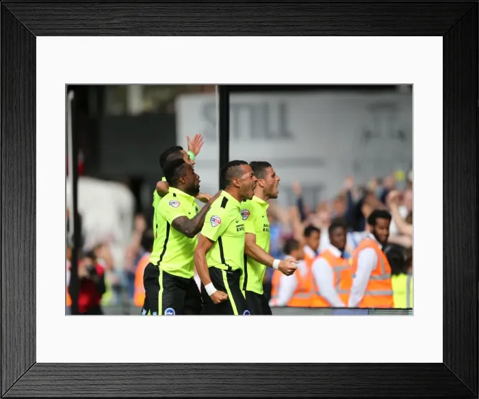 Framed Print : Tomer Hemed Scores the Thrilling Winner: Fulham vs. Brighton & Hove Albion, Sky Bet Championship (15 / 08 / 2015) Framed Print : Tomer Hemed Scores the Thrilling Winner: Fulham vs. Brighton & Hove Albion, Sky Bet Championship (15 / 08 / 2015)