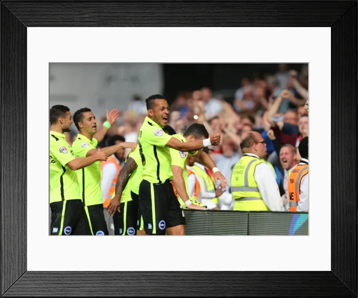 Framed Print : Tomer Hemed Scores the Thrilling Winner for Brighton and Hove Albion against Fulham in Sky Bet Championship 2015 Framed Print : Tomer Hemed Scores the Thrilling Winner for Brighton and Hove Albion against Fulham in Sky Bet Championship 2015
